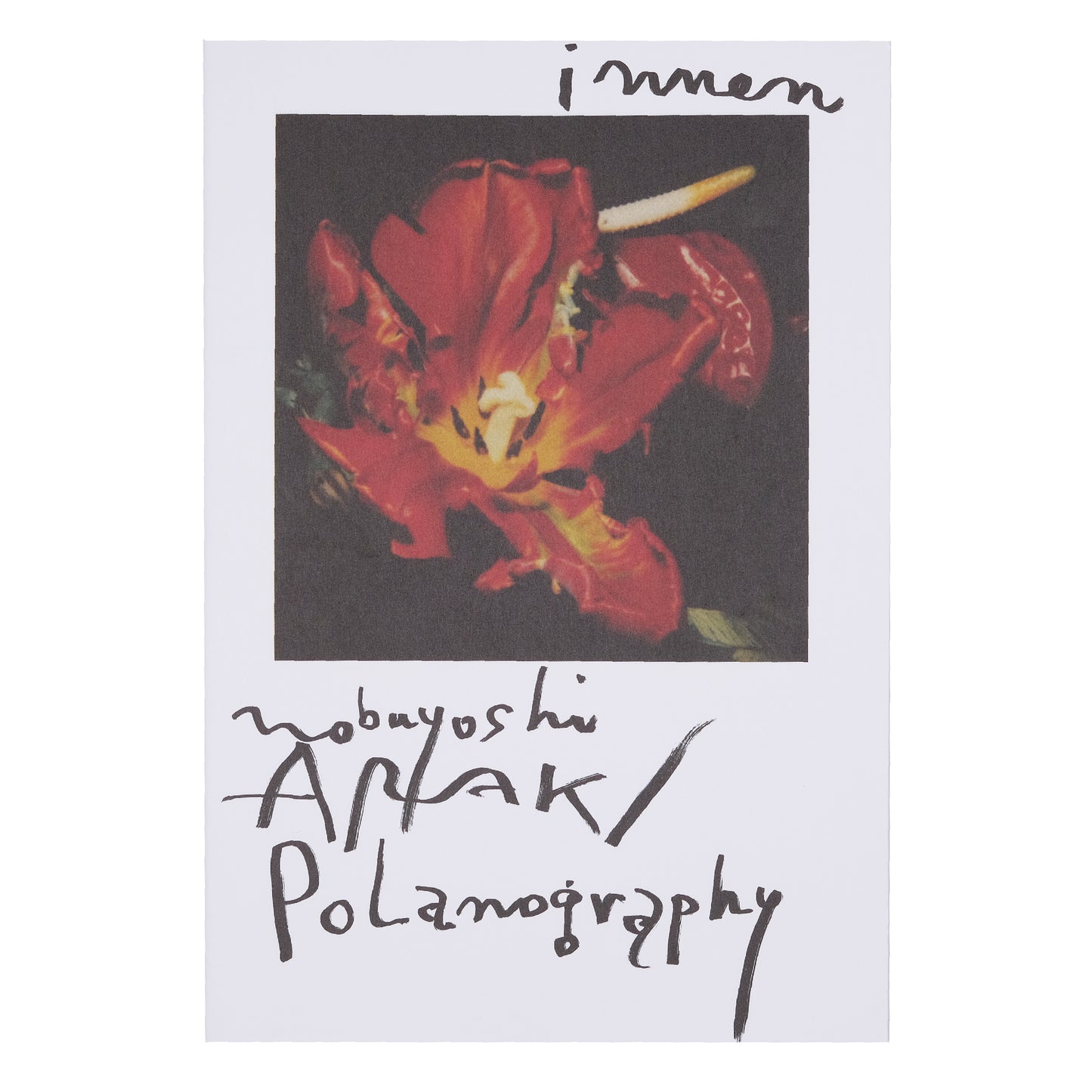 Innen - Nobuyoshi Araki - Polanography