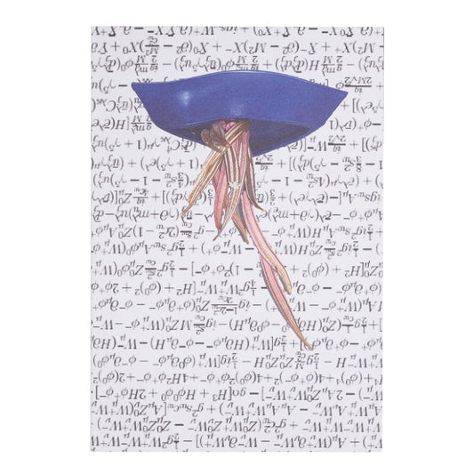 Innen - Haruka Hirata - ((DIVE))