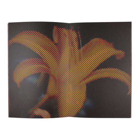 Knowledge Editions - TAKE A LOOK AROUND