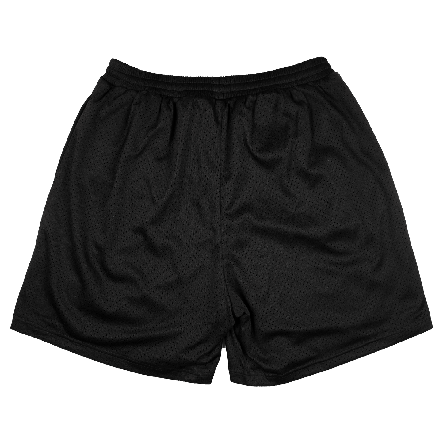 108Warehouse - EHOUSE Mesh Shorts