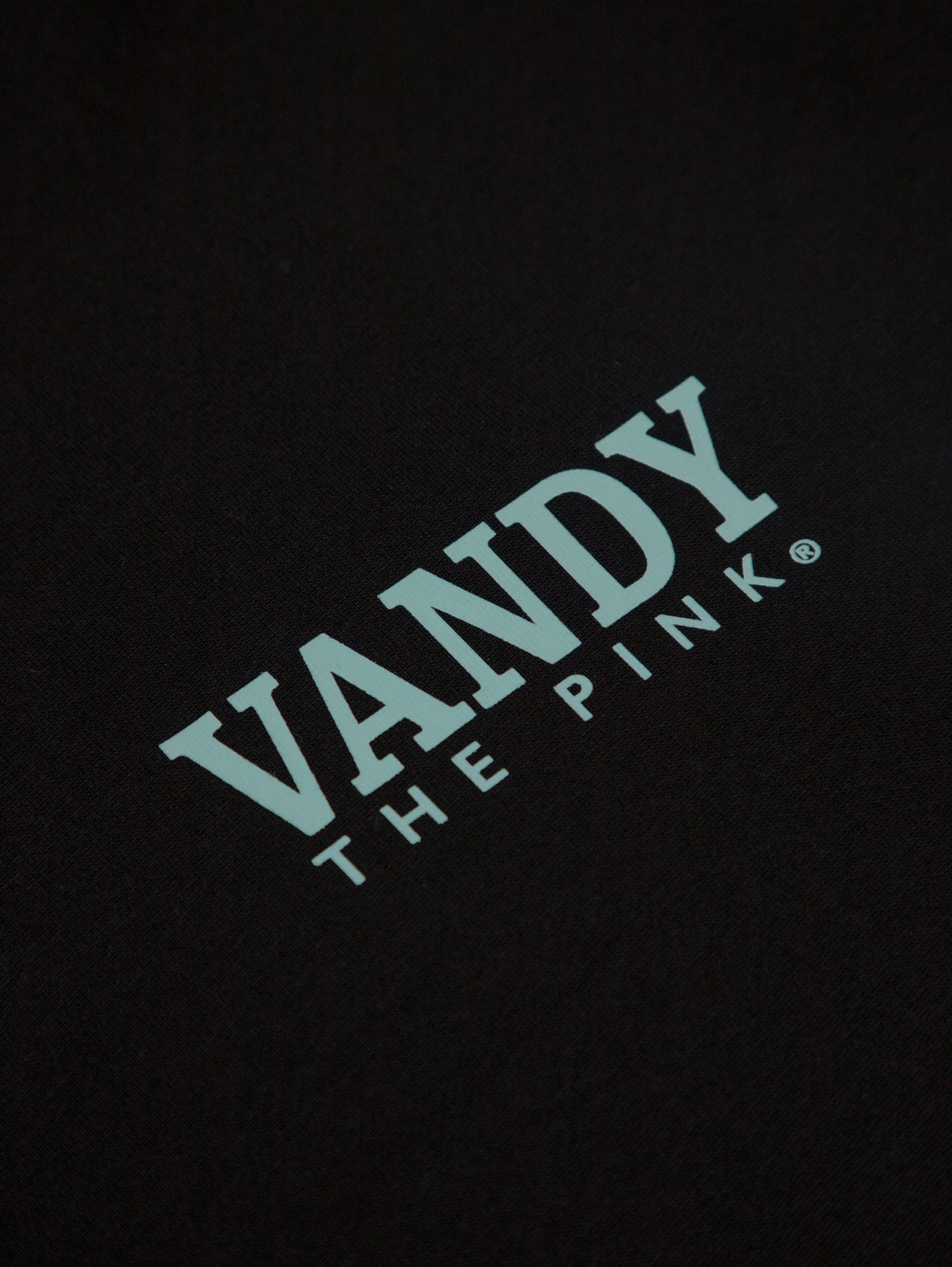 VANDYTHEPINK - Chrome Flower T-shirt - Black