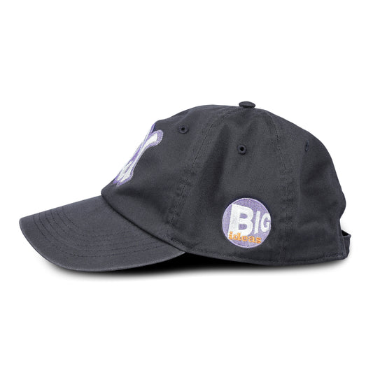 Small Nest - SN Logo Cap - Charcoal