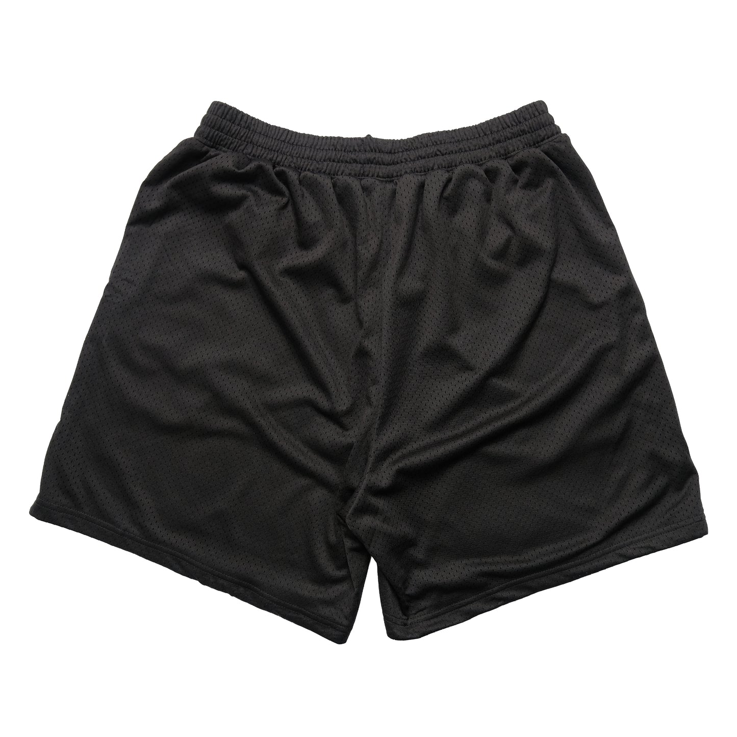108WAREHOUSE - Big Team Logo Mesh Shorts - Black / Blue