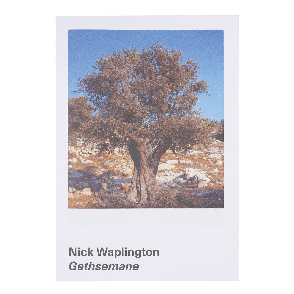 Innen - Nick Waplington - Gethsemane