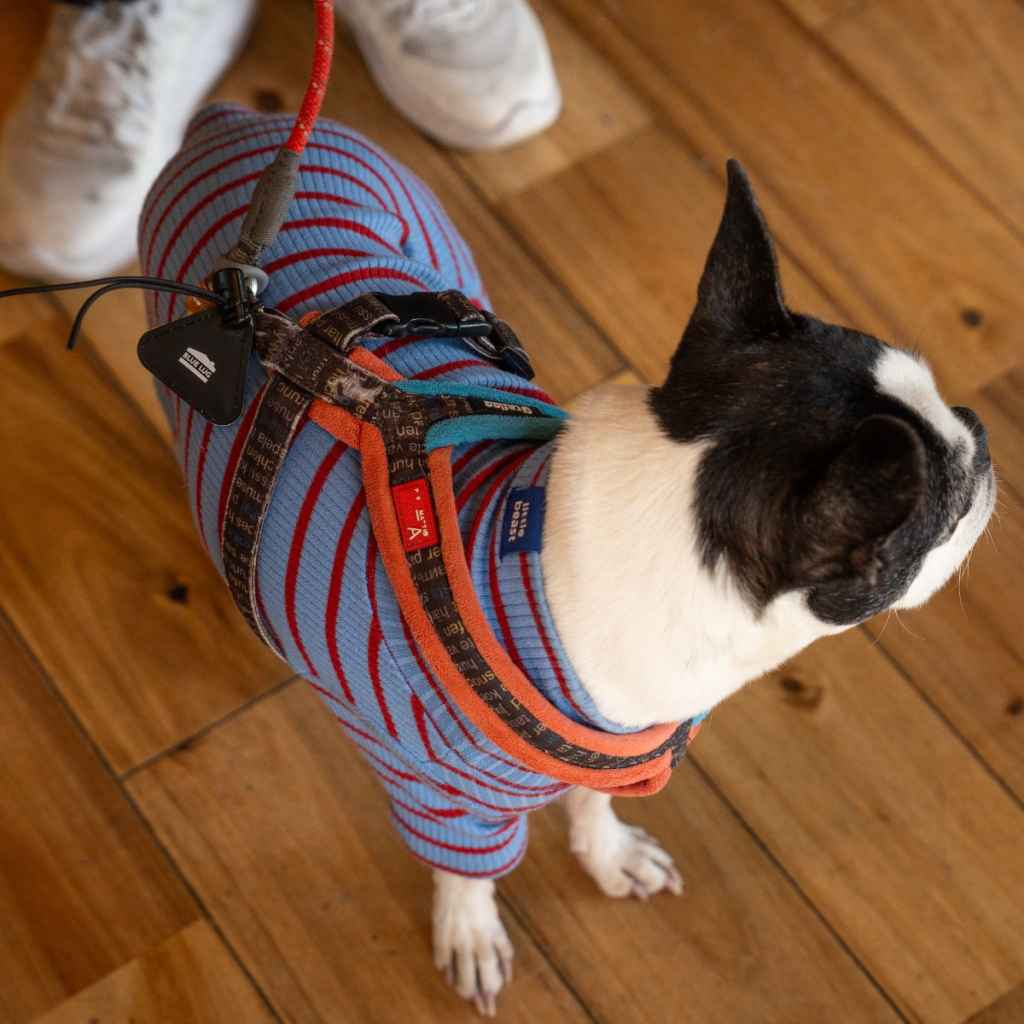 Blue Lug - Mini Triangle Reflector - Assorted