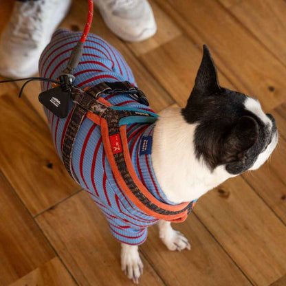 Blue Lug - Mini Triangle Reflector - Assorted