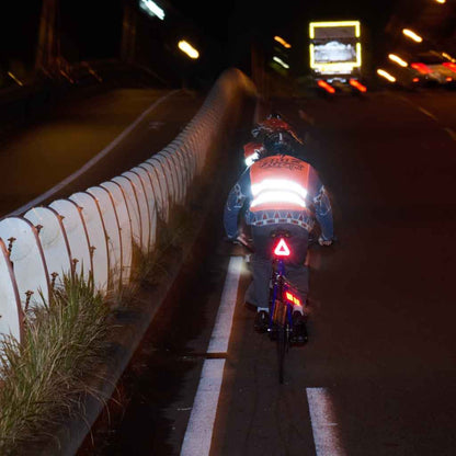 Blue Lug - Triangle Reflector - Assorted