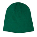 The Childhood Home - Mushroom Home Beanie - Green
