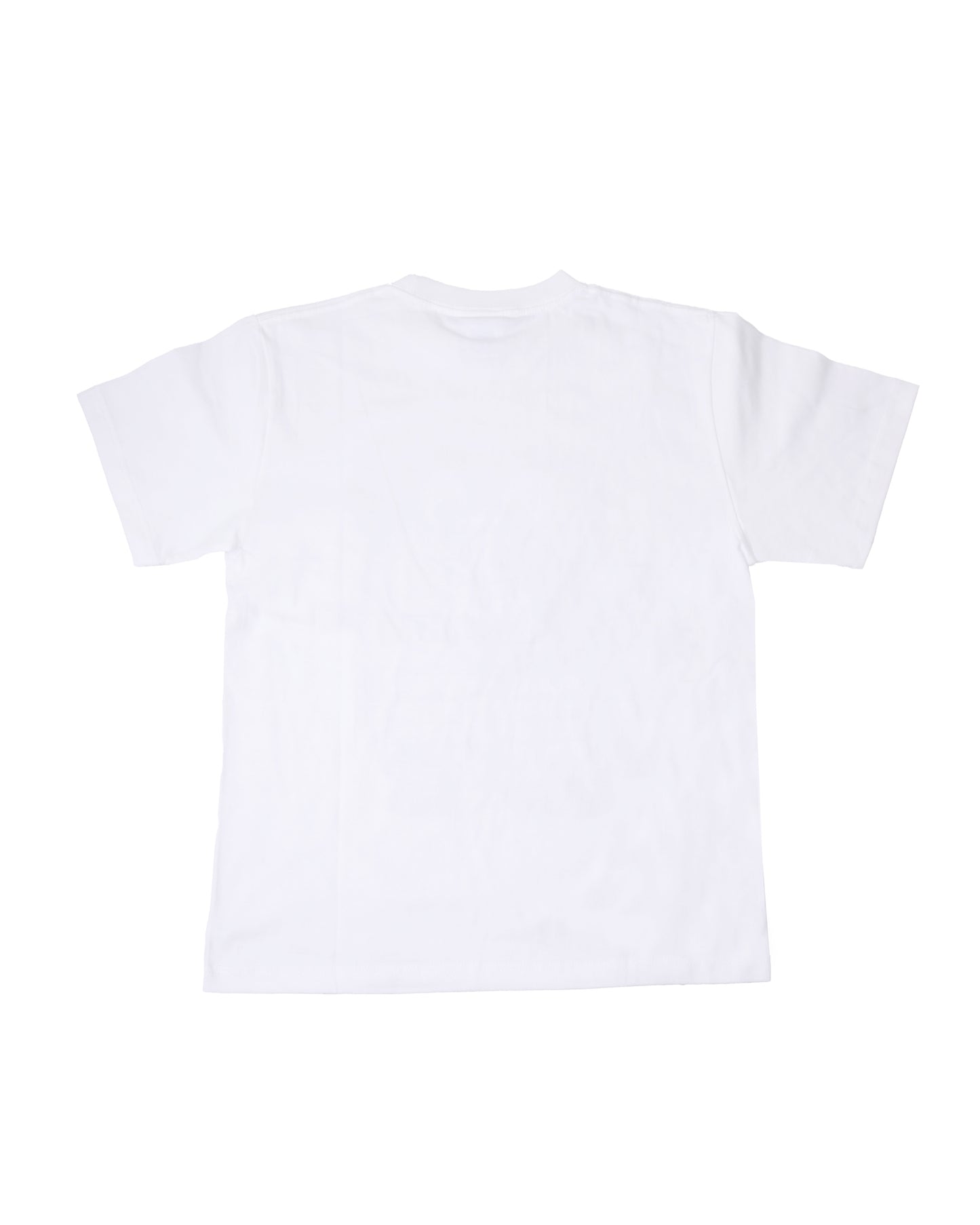 Entripaper - Calculator - White